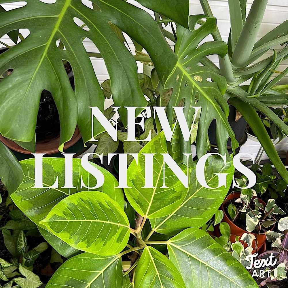 New items listed! - Picture 13 of 16